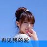 刑事侦缉档案4